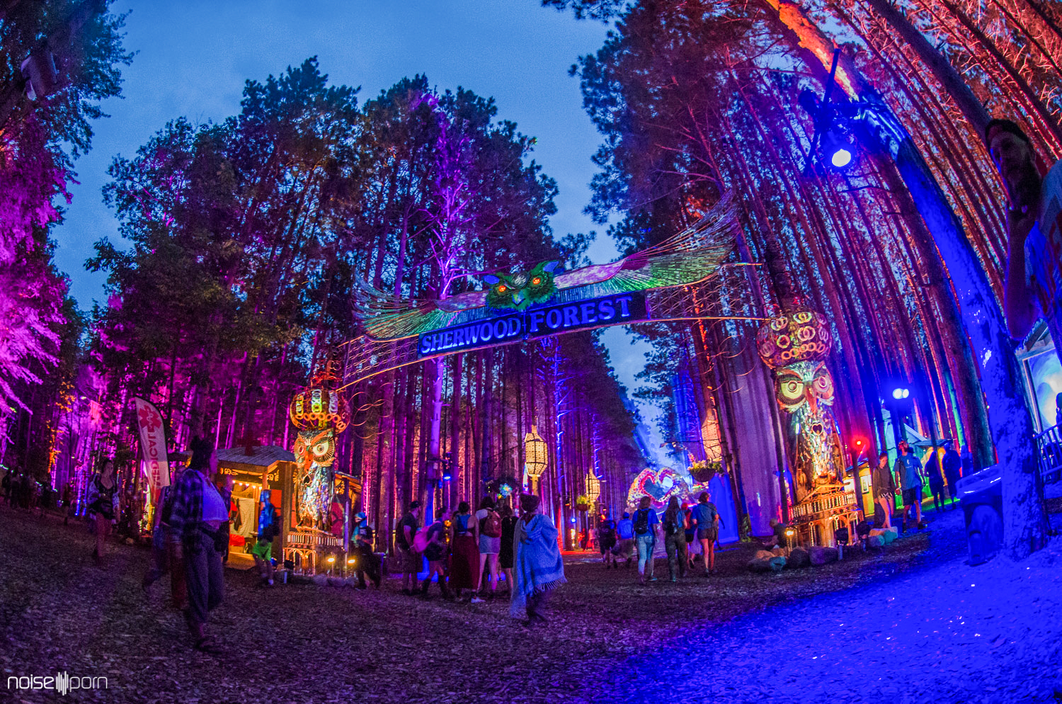 Electric Forest Festival. 