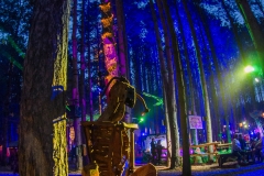 Noiseporn_ElectricForest2018-0172