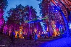 Noiseporn_ElectricForest2018-0175