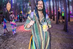 Noiseporn_ElectricForest2018-0467
