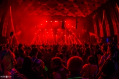 Noiseporn_ElectricForest2018-0583