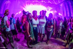 Noiseporn_ElectricForest2018-0629