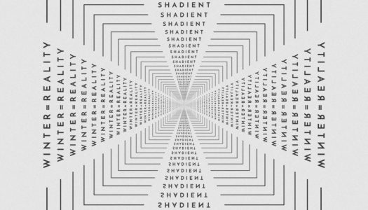 Shadient Releases ‘winter=reality’ EP on Mad Zoo