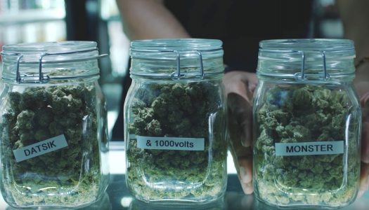 Datsik and 1000volts Hold Up Weed Dispensary in “Monster” Music Video