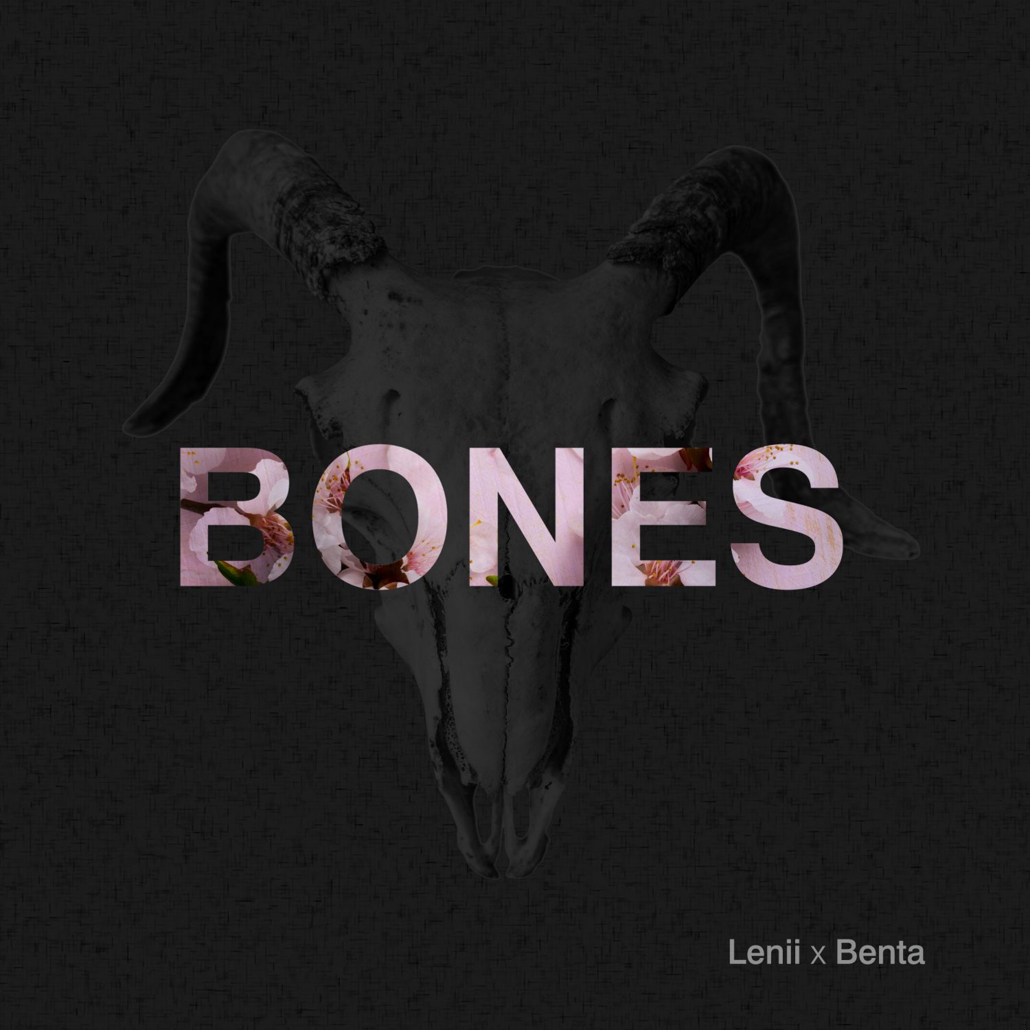 Lenii Benta Bones