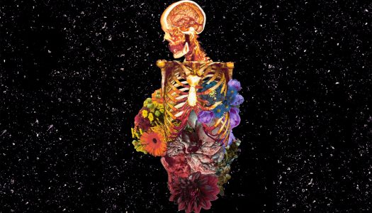Getter Releases Long-awaited ‘Visceral’ Album via mau5trap